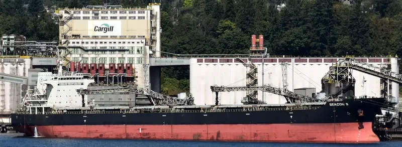 SEACON 9 Bulk Carrier IMO 9440394 photo 4