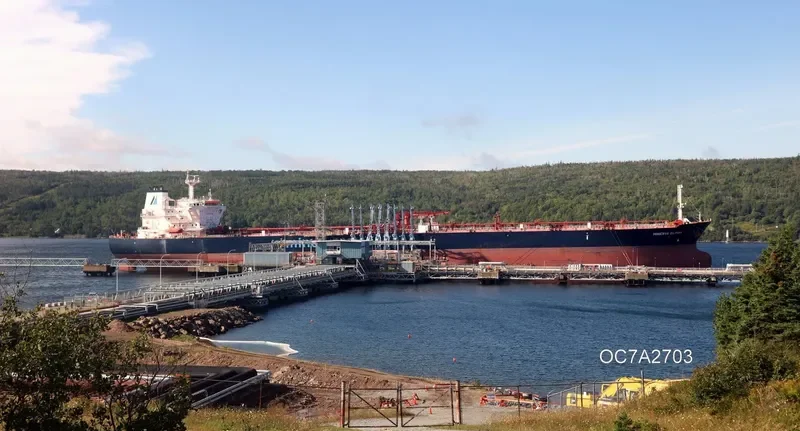 MINERVA ELPIDA Tanker IMO 9440526 photo 6