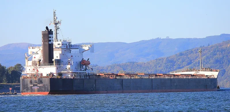 STAR LUNA Bulk Carrier IMO 9440849