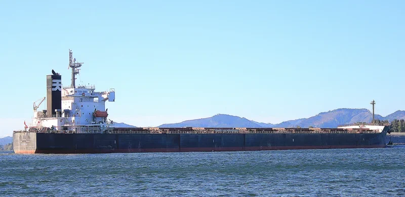 STAR LUNA Bulk Carrier IMO 9440849 photo 2