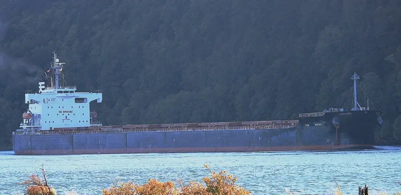 STAR LUNA Bulk Carrier IMO 9440849 photo 4
