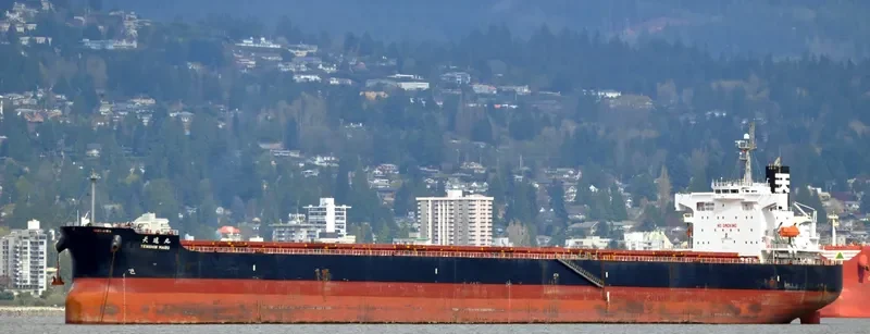 STAR LUNA Bulk Carrier IMO 9440849 photo 5