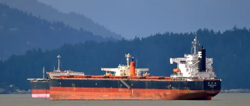 STAR LUNA Bulk Carrier IMO 9440849 photo 6