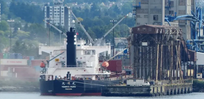 BULK PRIDE Bulk Carrier IMO 9440916