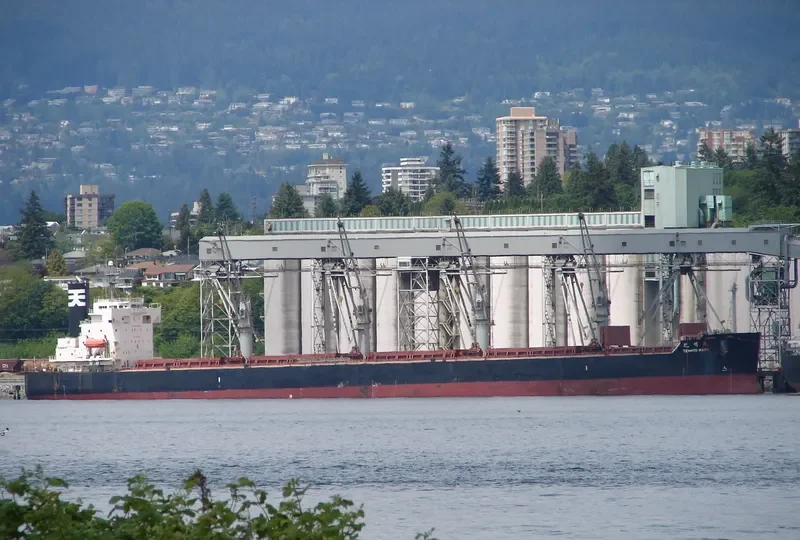 BULK PRIDE Bulk Carrier IMO 9440916 photo 2