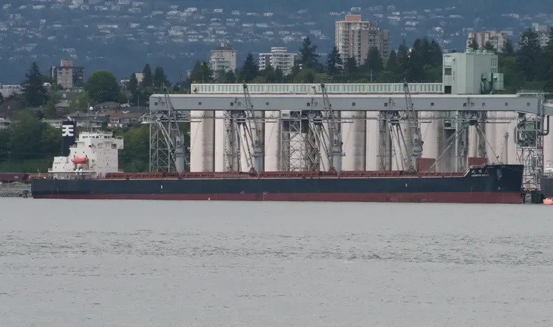 BULK PRIDE Bulk Carrier IMO 9440916 photo 3