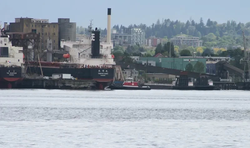 BULK PRIDE Bulk Carrier IMO 9440916 photo 4