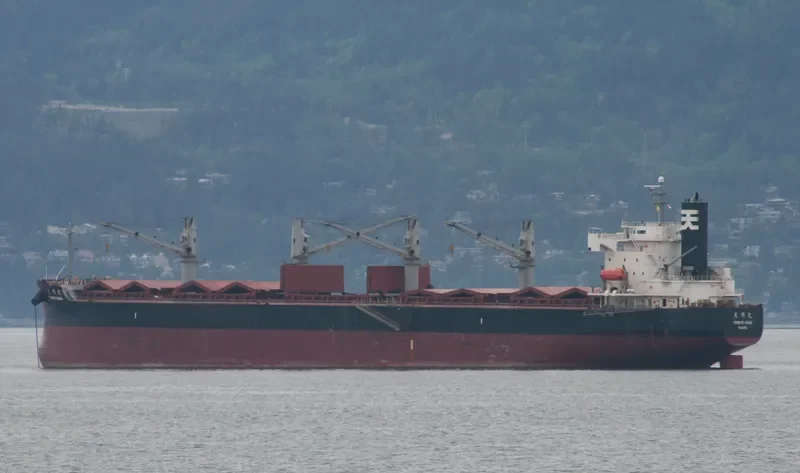 BULK PRIDE Bulk Carrier IMO 9440916 photo 5