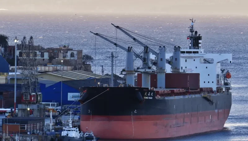 THOR CALIBER Bulk Carrier IMO 9440928