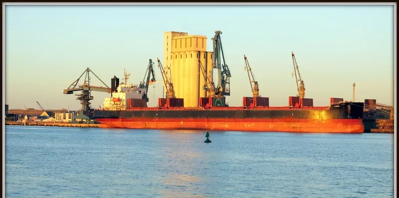 THOR CALIBER Bulk Carrier IMO 9440928 photo 2