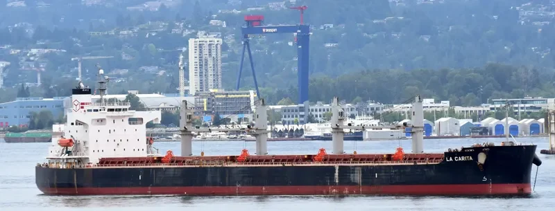 PAQUETA ISLAND Bulk Carrier IMO 9440930 photo 8