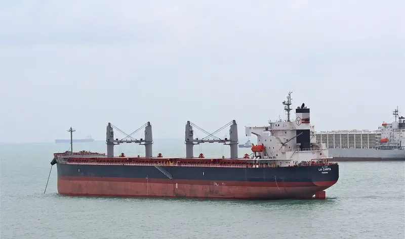 PAQUETA ISLAND Bulk Carrier IMO 9440930 photo 9
