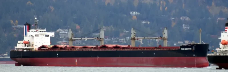 THOR COURAGE Bulk Carrier IMO 9440978 photo 4