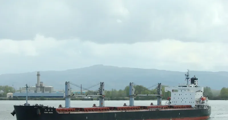 THOR COURAGE Bulk Carrier IMO 9440978 photo 7