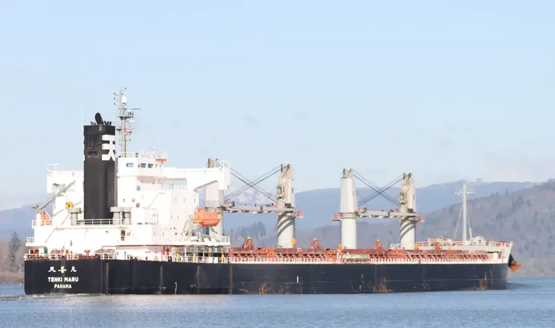 THOR COURAGE Bulk Carrier IMO 9440978 photo 9