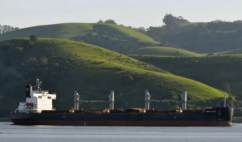 SHINE FOREVER Bulk Carrier IMO 9440980