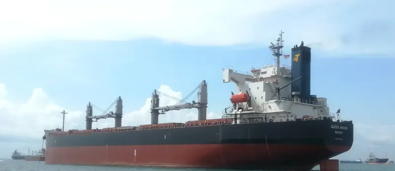 SHINE FOREVER Bulk Carrier IMO 9440980 photo 5