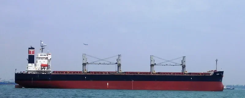 SHINE FOREVER Bulk Carrier IMO 9440980 photo 6