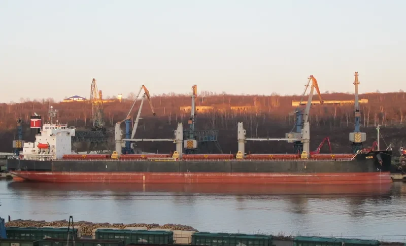 SHINE FOREVER Bulk Carrier IMO 9440980 photo 8