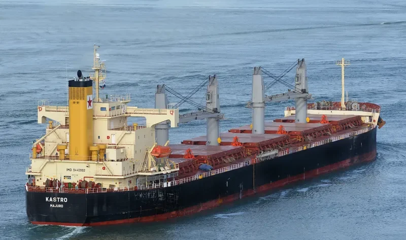 G TAISHAN Bulk Carrier IMO 9440992 photo 6