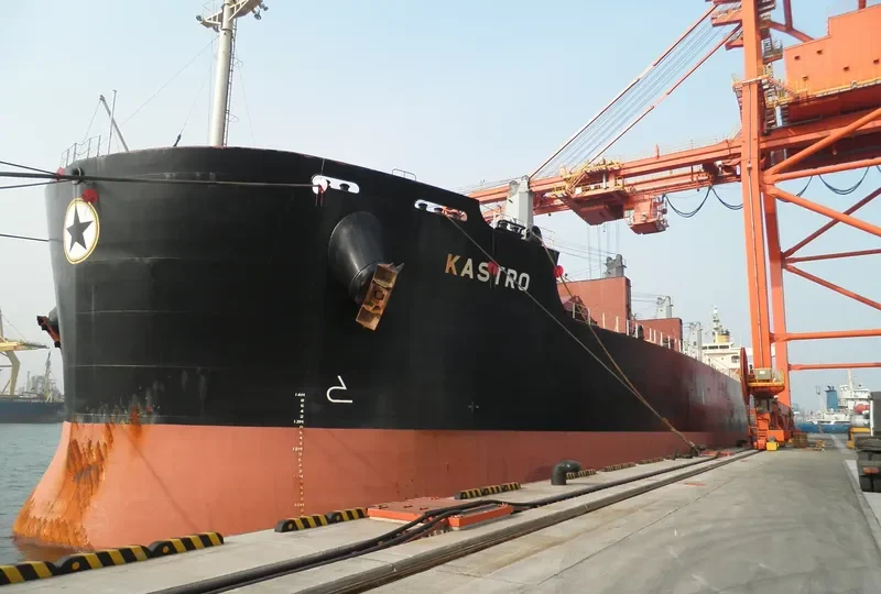 G TAISHAN Bulk Carrier IMO 9440992 photo 9