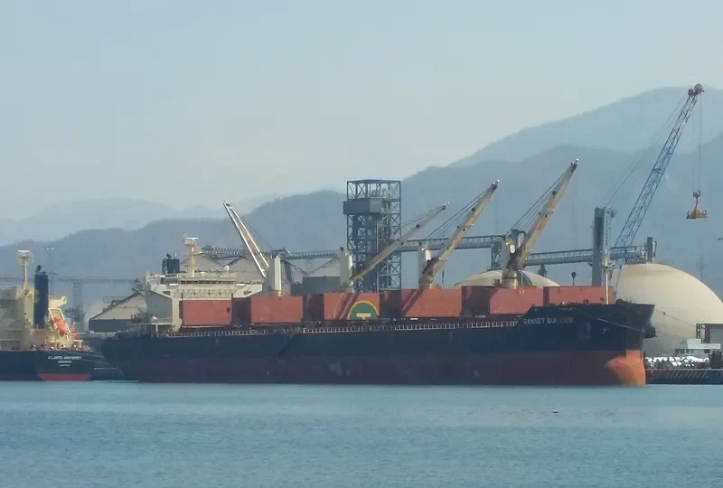 GANNET BULKER Bulk Carrier IMO 9441300