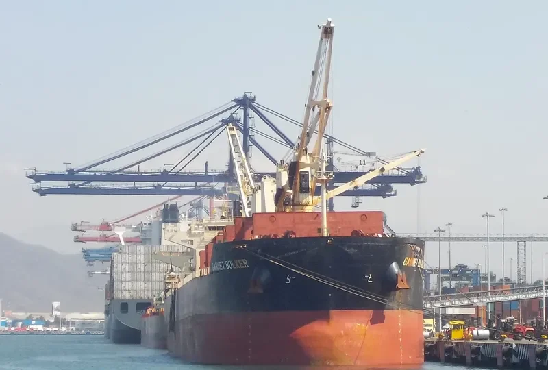 GANNET BULKER Bulk Carrier IMO 9441300 photo 2