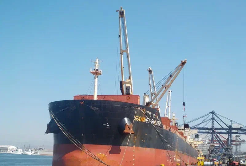 GANNET BULKER Bulk Carrier IMO 9441300 photo 3