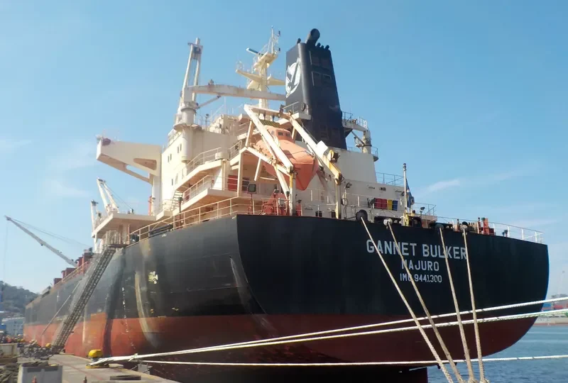 GANNET BULKER Bulk Carrier IMO 9441300 photo 4
