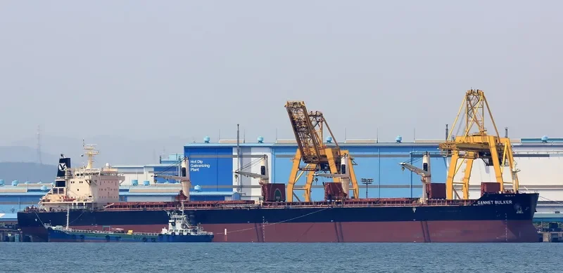 GANNET BULKER Bulk Carrier IMO 9441300 photo 6