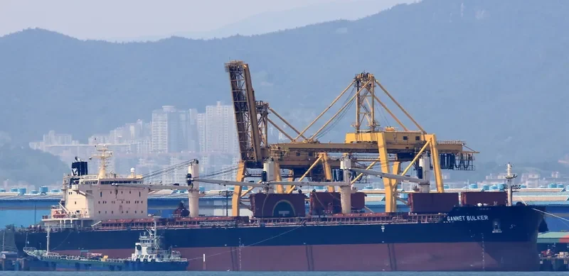 GANNET BULKER Bulk Carrier IMO 9441300 photo 7