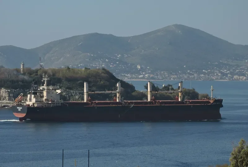 GREBE BULKER Bulk Carrier IMO 9441312 photo 9