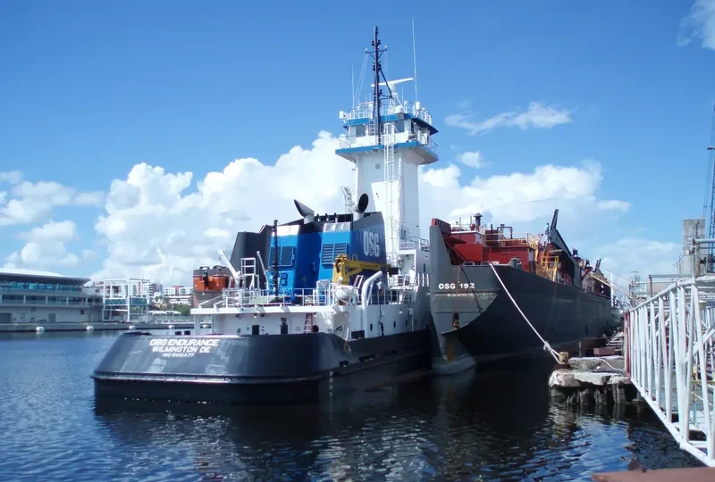 OSG ENDURANCE General Cargo IMO 9441477 photo 8