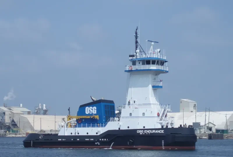 OSG ENDURANCE General Cargo IMO 9441477 photo 10