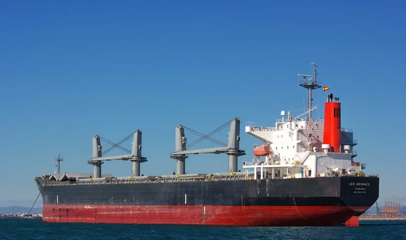 ADVANCE Bulk Carrier IMO 9442225 photo 10