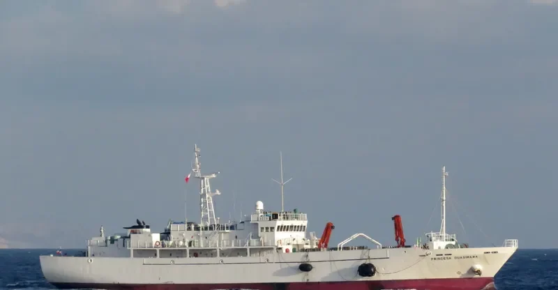 PRINCESA GUASIMARA General Cargo IMO 9442237 photo 6