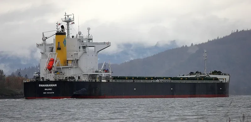 PANAMANIAN Bulk Carrier IMO 9442378