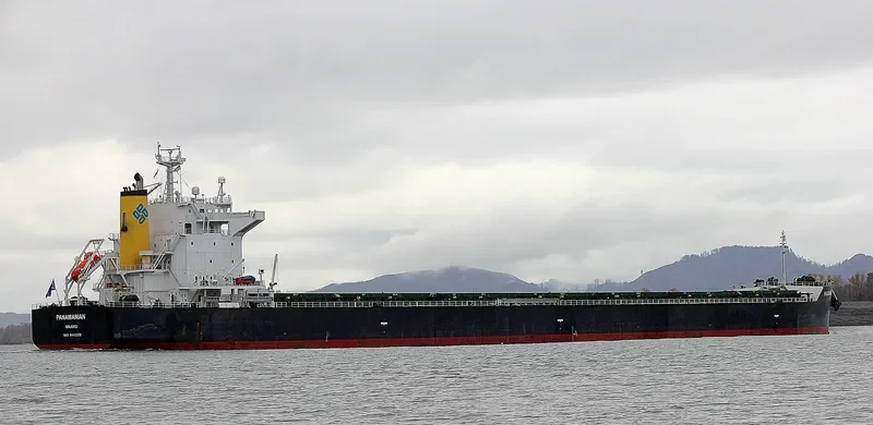 PANAMANIAN Bulk Carrier IMO 9442378 photo 2