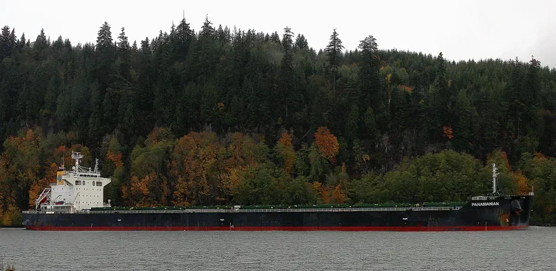 PANAMANIAN Bulk Carrier IMO 9442378 photo 4