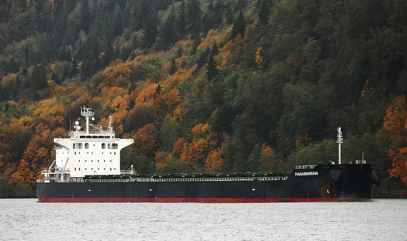 PANAMANIAN Bulk Carrier IMO 9442378 photo 5