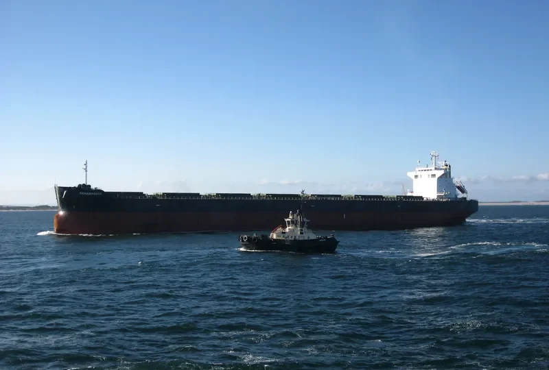 PANAMANIAN Bulk Carrier IMO 9442378 photo 7