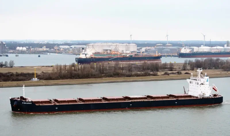 PANAMANIAN Bulk Carrier IMO 9442378 photo 8