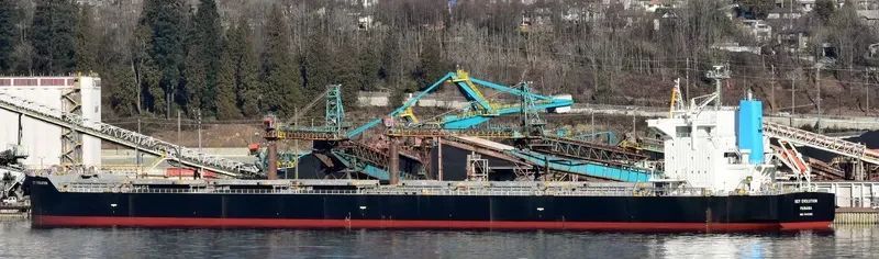 KEY EVOLUTION Bulk Carrier IMO 9442380 photo 4
