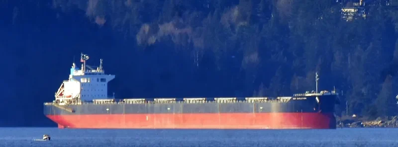 KEY EVOLUTION Bulk Carrier IMO 9442380 photo 7