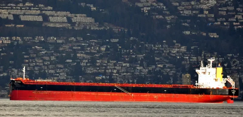 FORTUNA Bulk Carrier IMO 9442392