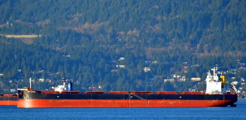 FORTUNA Bulk Carrier IMO 9442392 photo 4