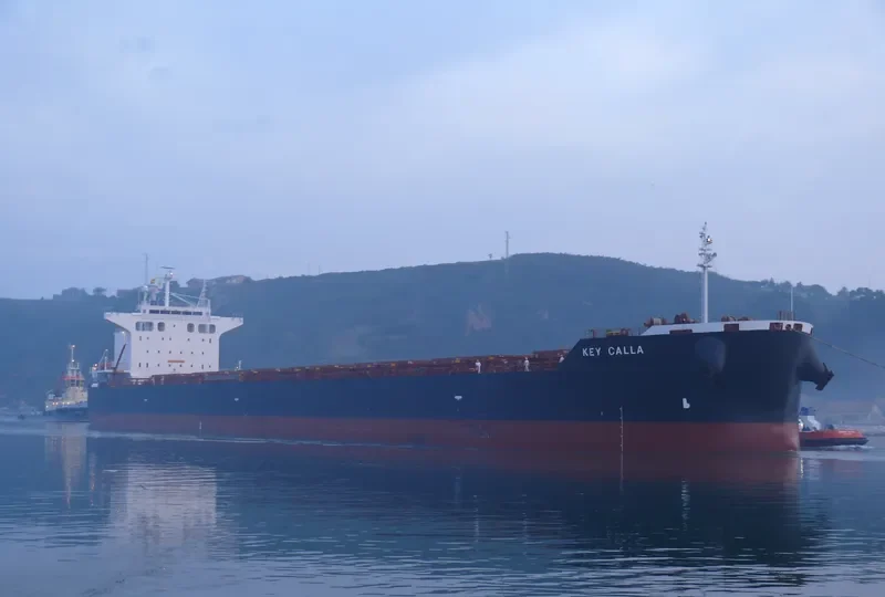 FORTUNA Bulk Carrier IMO 9442392 photo 9