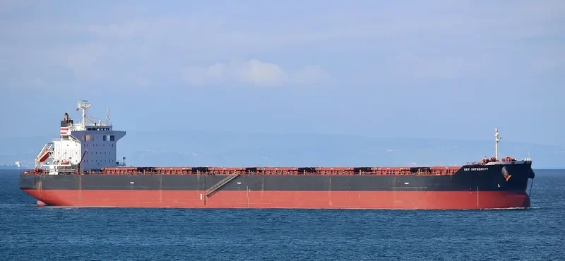 MAGIC THUNDER Bulk Carrier IMO 9442407 photo 2