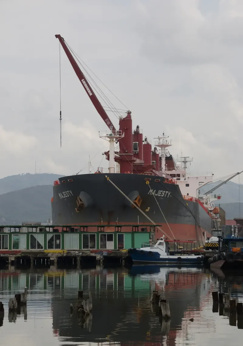 MAJESTY Bulk Carrier IMO 9442574