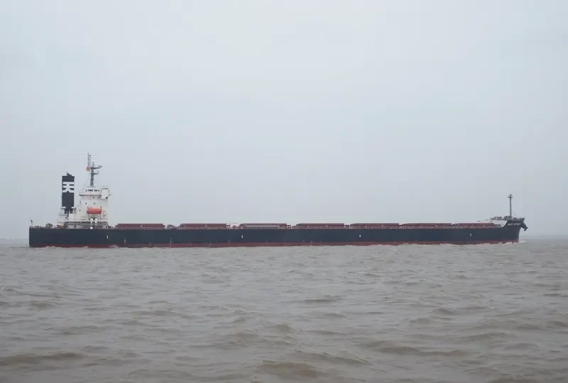 EVANGELISTRIA Bulk Carrier IMO 9442718 photo 3